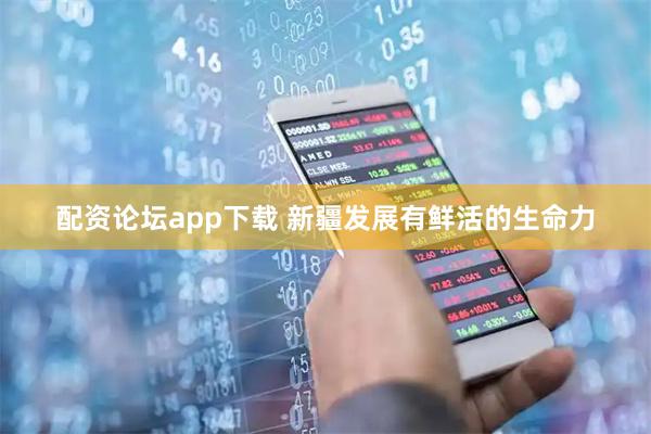 配资论坛app下载 新疆发展有鲜活的生命力