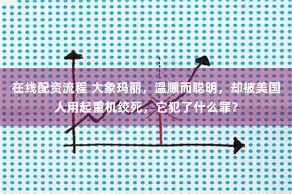 在线配资流程 大象玛丽，温顺而聪明，却被美国人用起重机绞死，它犯了什么罪？