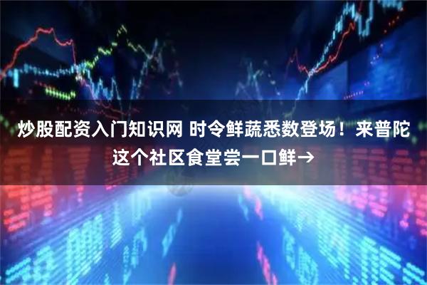 炒股配资入门知识网 时令鲜蔬悉数登场！来普陀这个社区食堂尝一口鲜→
